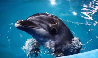 寿光蔬菜博览会门票 寿光蔬菜博览会门票