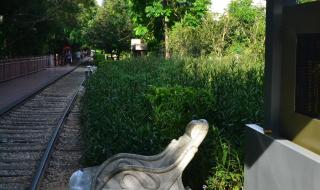 某年某月某一天歌词 某年某月某一天歌词