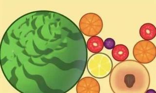 水果忍者兑换码 水果忍者兑换码