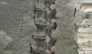 四川省国土资源厅 四川省国土资源厅