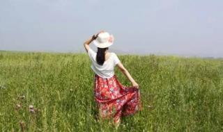 歌在飞的原唱是谁唱的 歌在飞原唱