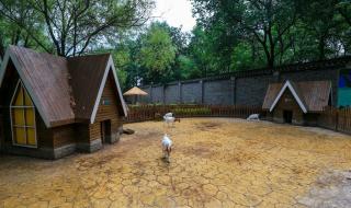 扬州自助游 扬州自助游