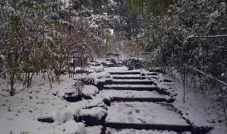 5年级作文雪中即景 5年级作文雪中即景