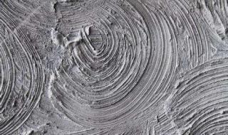 江西宝华山水泥和万年青水泥相比哪家好 万年青水泥