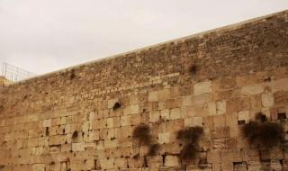 以色列人口 以色列人口