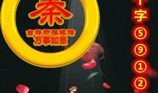 为什么说相逢是首歌 为什么说相逢是首歌