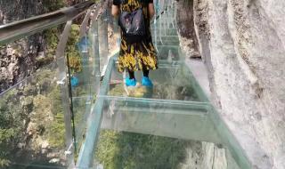 广西体育中心体育馆可容纳多少人 广西壮族自治区体育场