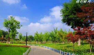 网上说有中原官话,什么是中原官话,包括那些区域,为什么 中原官话蔡鲁片