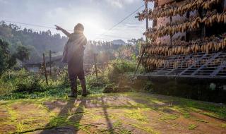 欢迎来到绵羊村攻略 欢迎来到绵羊村攻略