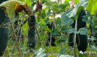 07千克是多少斤 0.7公斤是多少克