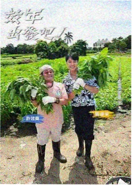 经典情爱电影重映